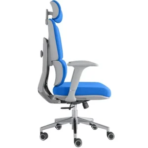 Ergonomic Office Chairs